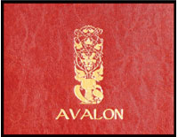 Logo Design